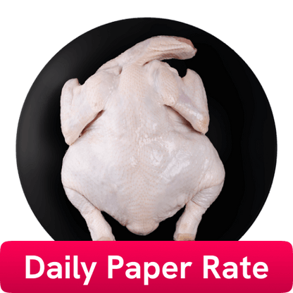 थंडगार चिकन संपूर्ण कातडीसह (९००-११०० ग्रॅमपीसी), २ पक्ष्यांचे पॅक