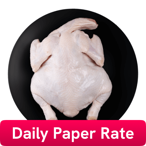 Chilled Chicken Whole with Skin (900-1100 gmpc), 2 BirdsPack
